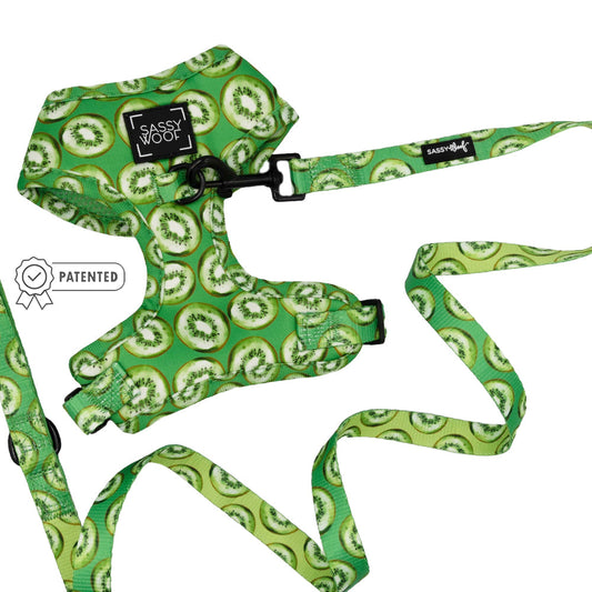 Dog Two Piece Bundle -  Kiwi Krazy