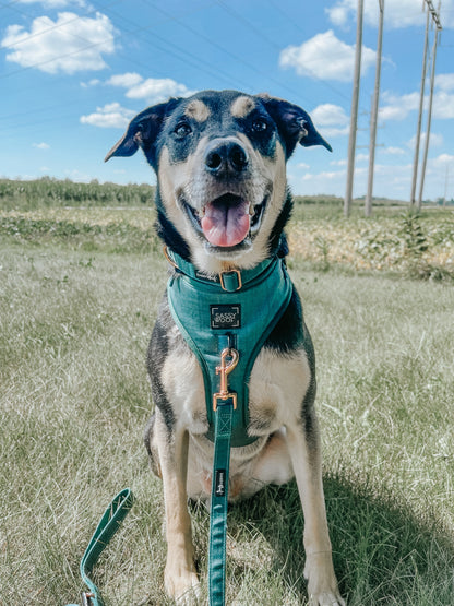 Dog Adjustable Harness - Forest