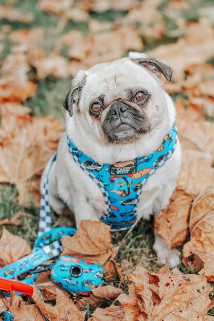 Dog Two Piece Bundle - Hot Wheels™