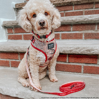 Dog Leash - Harry Potter™ Marauder's Map™
