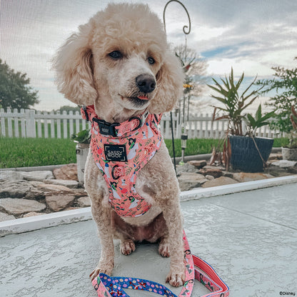 Dog Leash - Disney's Mulan