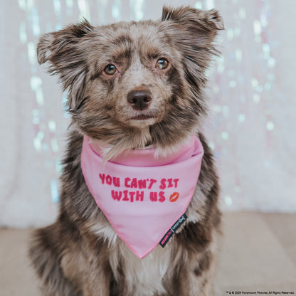 Dog Bandana - Mean Girls™ You Can't Sit With Us