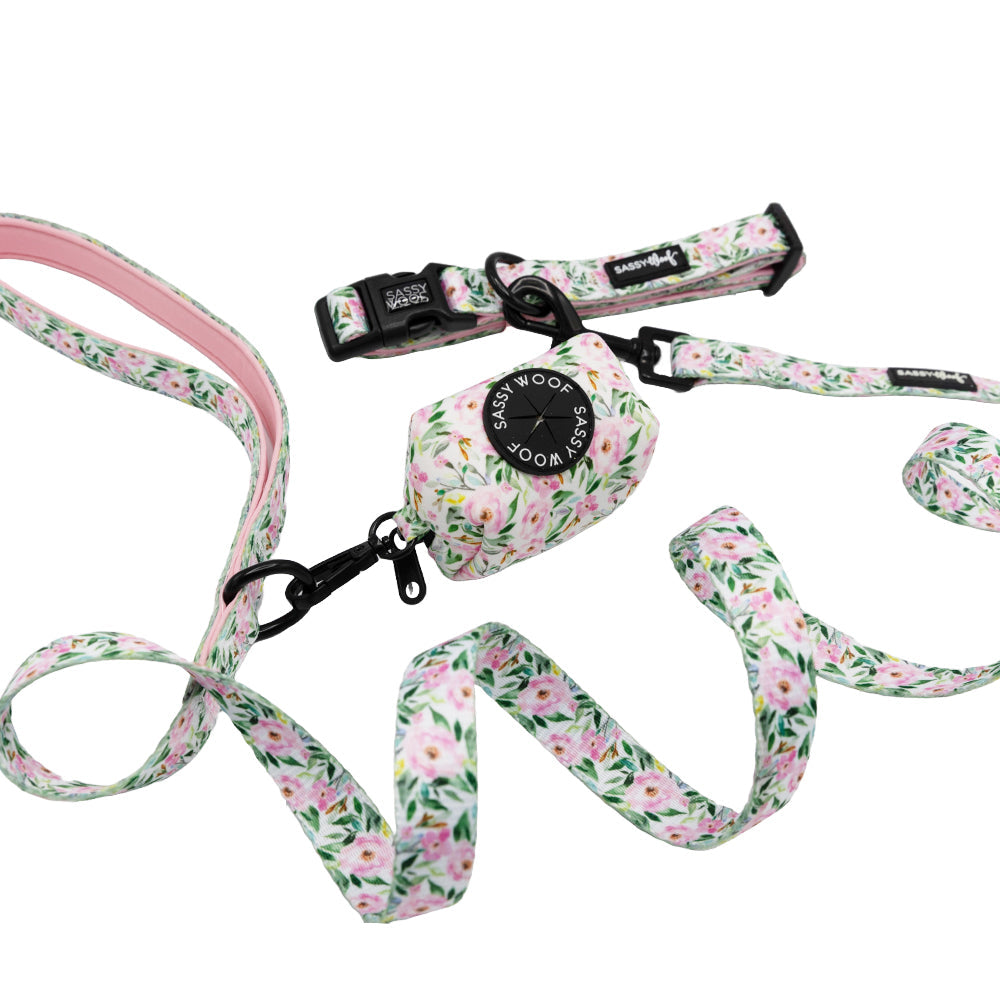 Dog Collar Three Piece Bundle - Magnolia