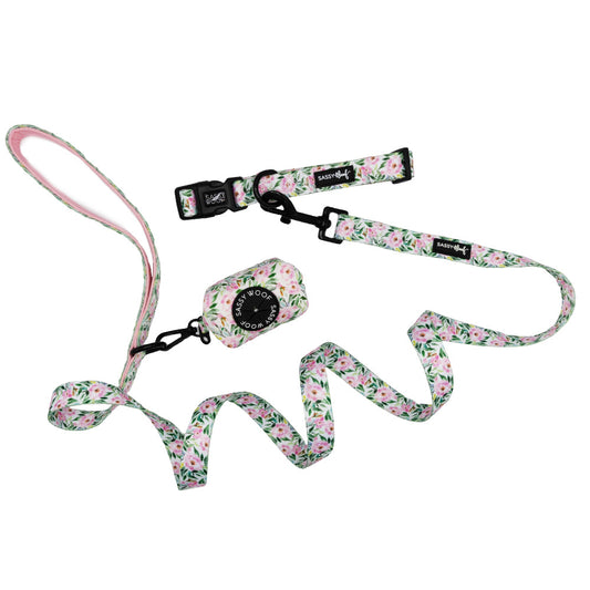 Dog Collar Three Piece Bundle - Magnolia