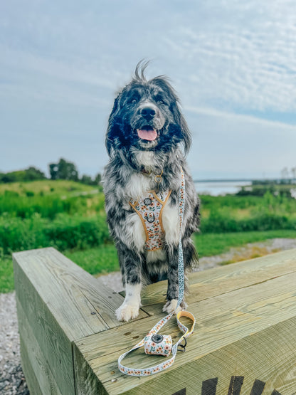 Dog Waste Bag Holder - Sunflower Dreams