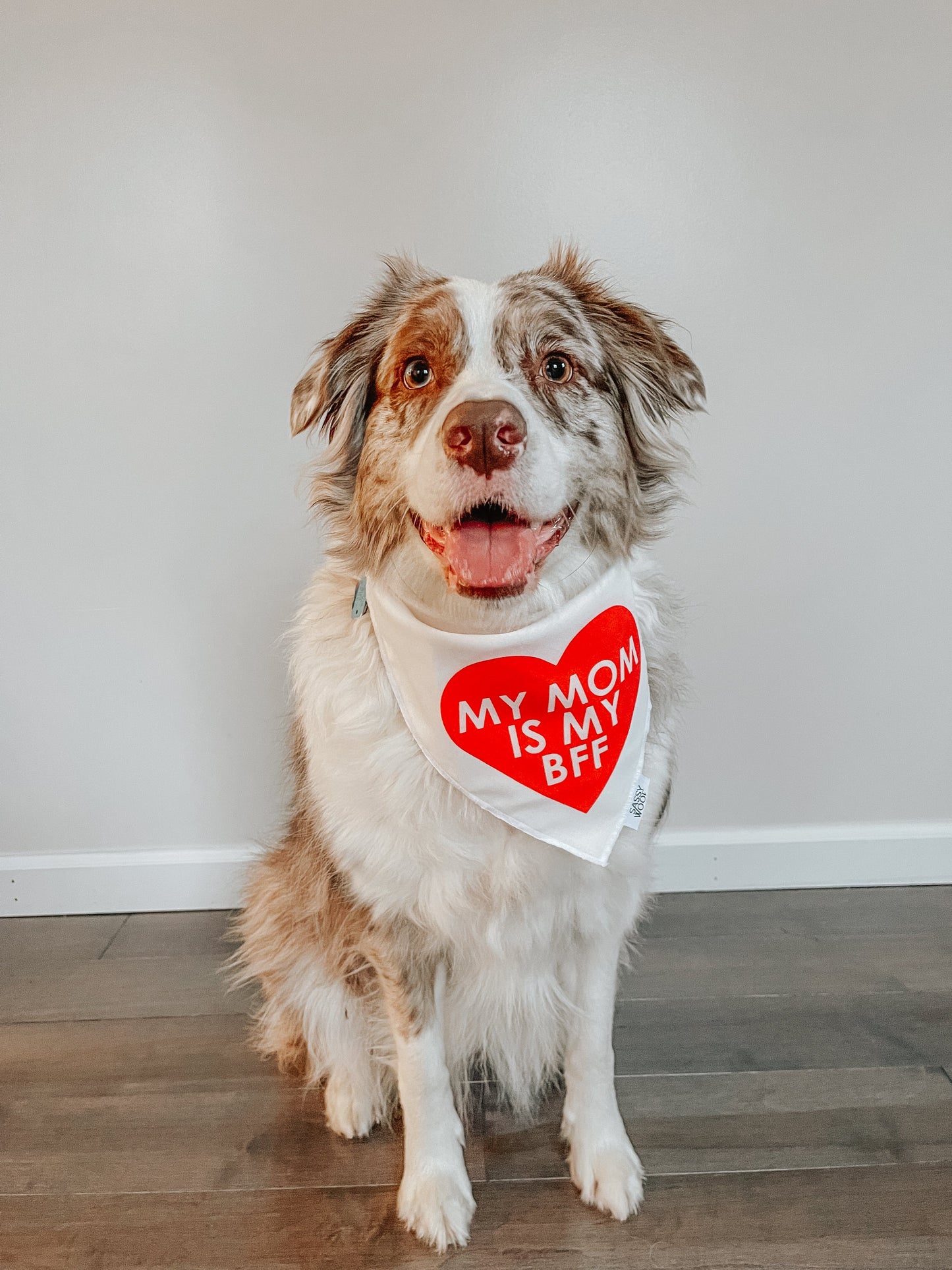 Bundle - BFF Valentine's Sweatshirt & Bandana (RED)