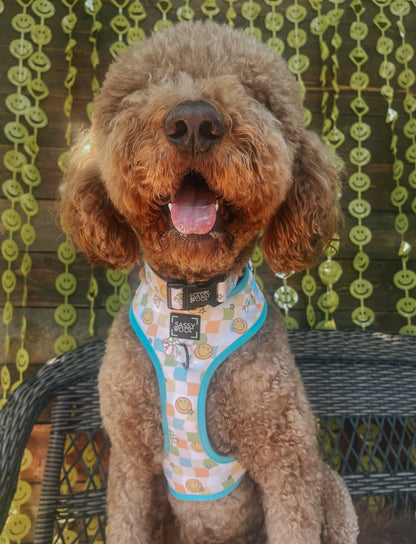 Dog Collar - Mush Love