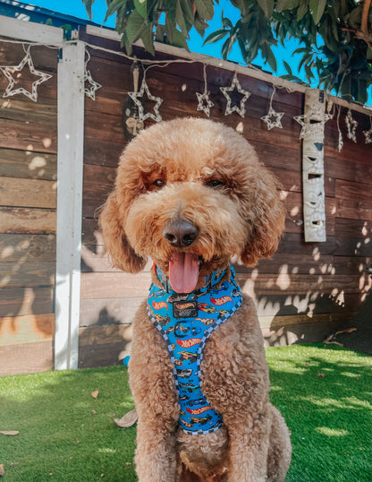 Dog Two Piece Bundle - Hot Wheels™
