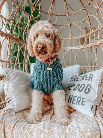 Pet Cable Knit Sweater - Dark Green
