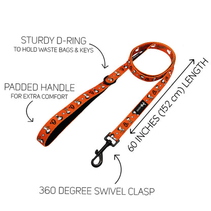 Dog Two Piece Bundle - MLB™ x Peanuts™ Baltimore Orioles™
