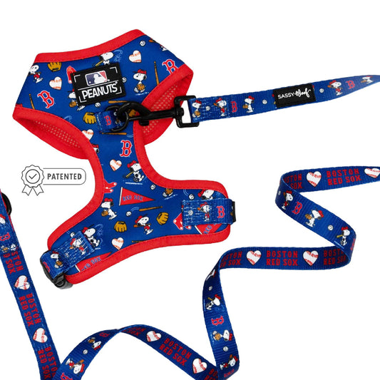 Dog Two Piece Bundle - MLB™ x Peanuts™ Boston Red Sox™