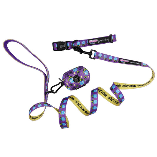 Dog Collar Three Piece Bundle - Mojo Jojo™