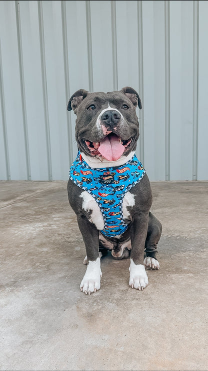 Dog Two Piece Bundle - Hot Wheels™