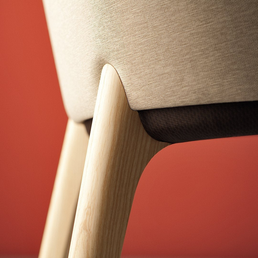 Bellevue 02 Dining Armchair - Ash Frame