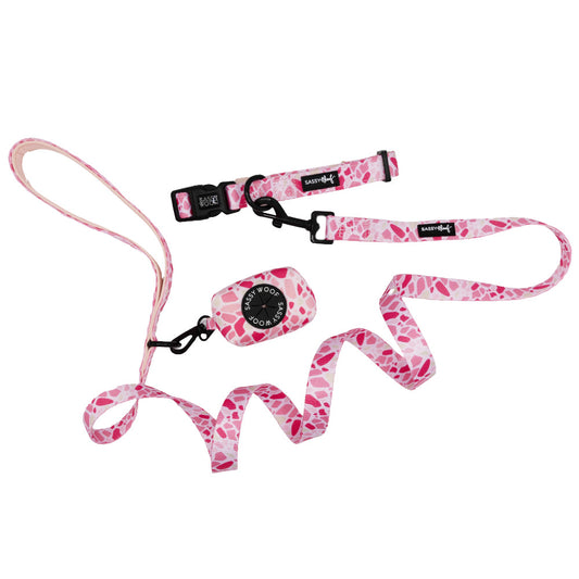 Dog Collar Three Piece Bundle - Mykonos