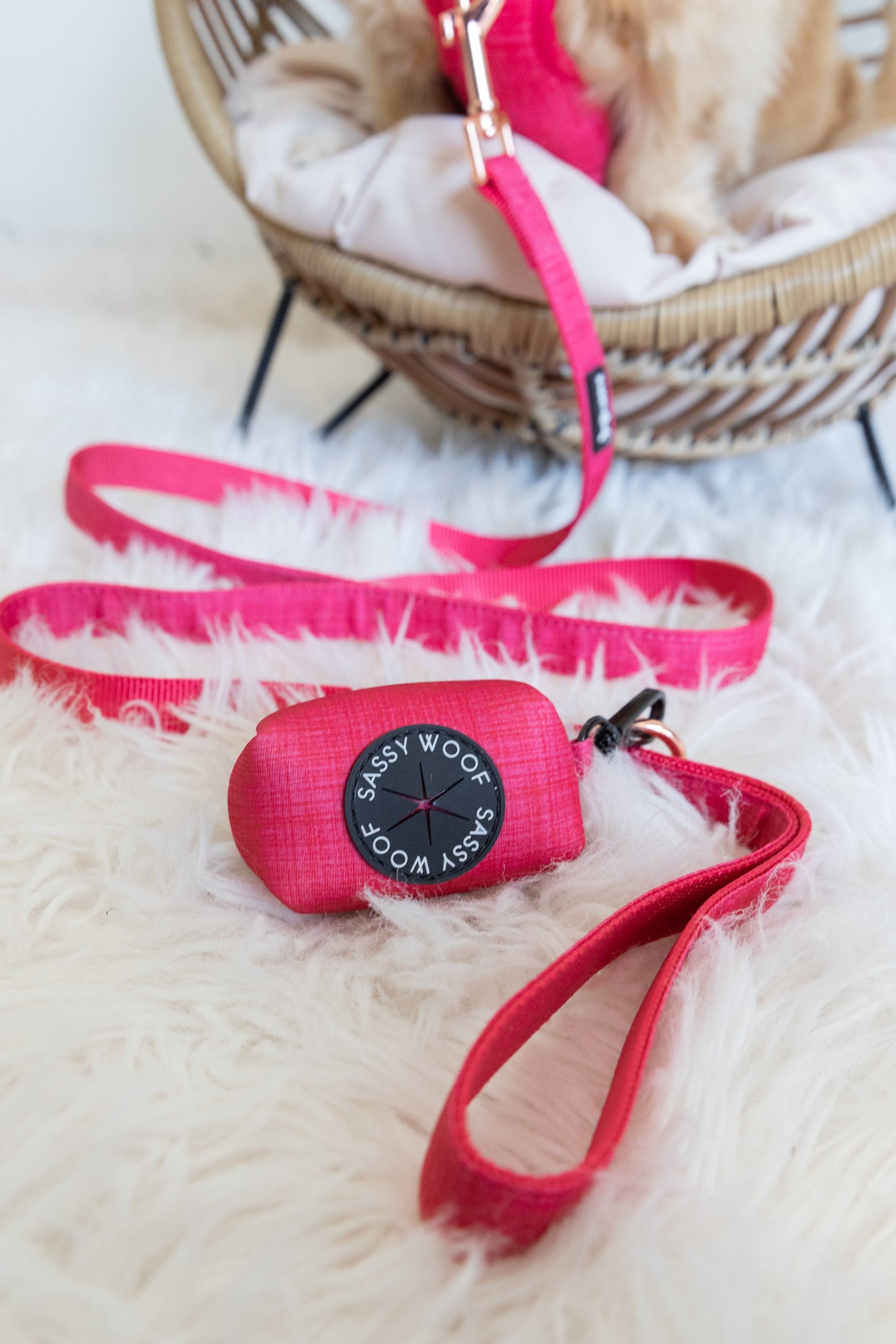 Dog Collar Three Piece Bundle - Merlot