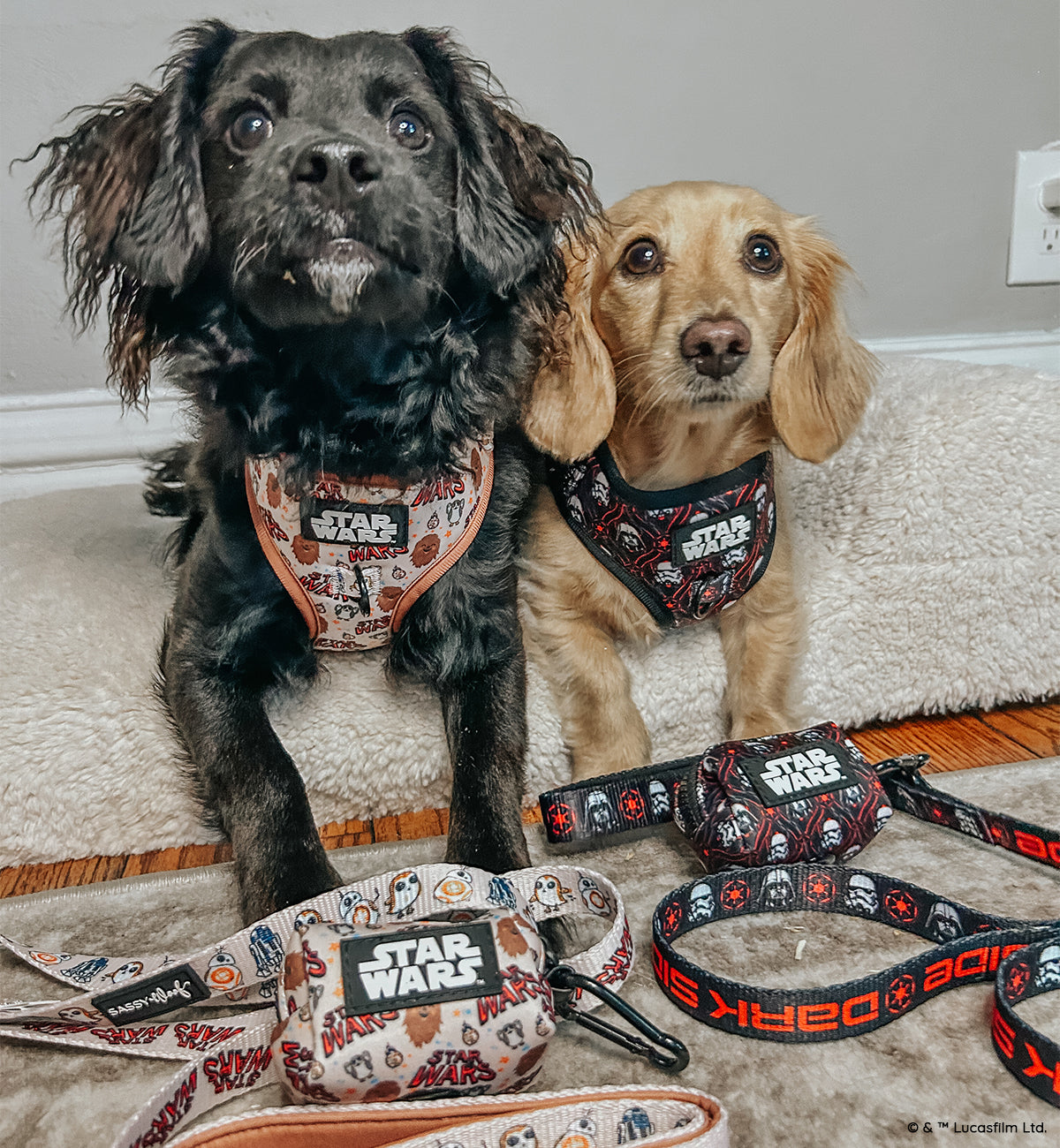 Dog Four Piece Bundle - STAR WARS™ The Dark Side