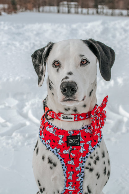 Dog Sailor Bow - Disney's 101 Dalmatians