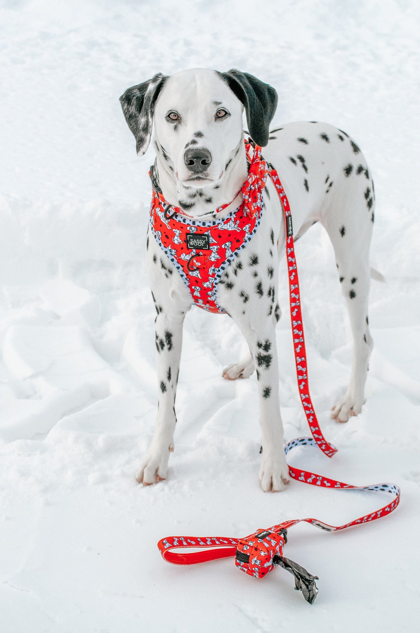 Dog Waste Bag Holder - Disney's 101 Dalmatians