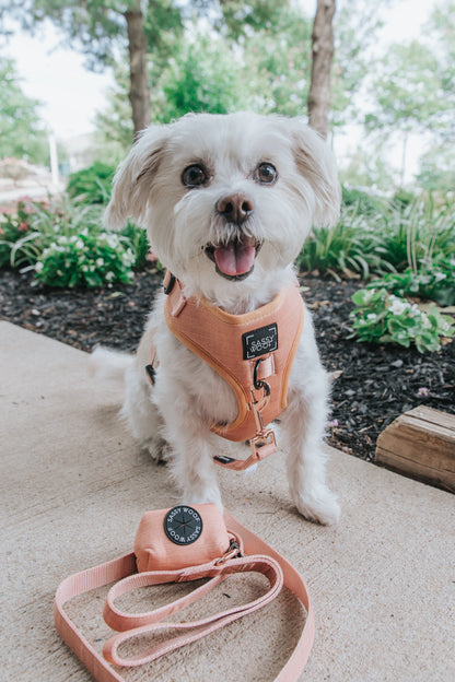 Dog Four Piece Bundle - Apple Cider