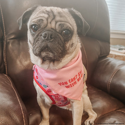 Dog Bandana - Mean Girls™ You Can't Sit With Us