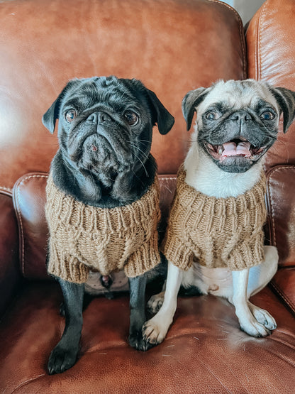 Pet Cable Knit Sweater - Brown