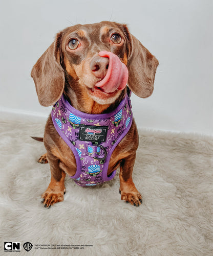 Dog Adjustable Harness - Mojo Jojo™