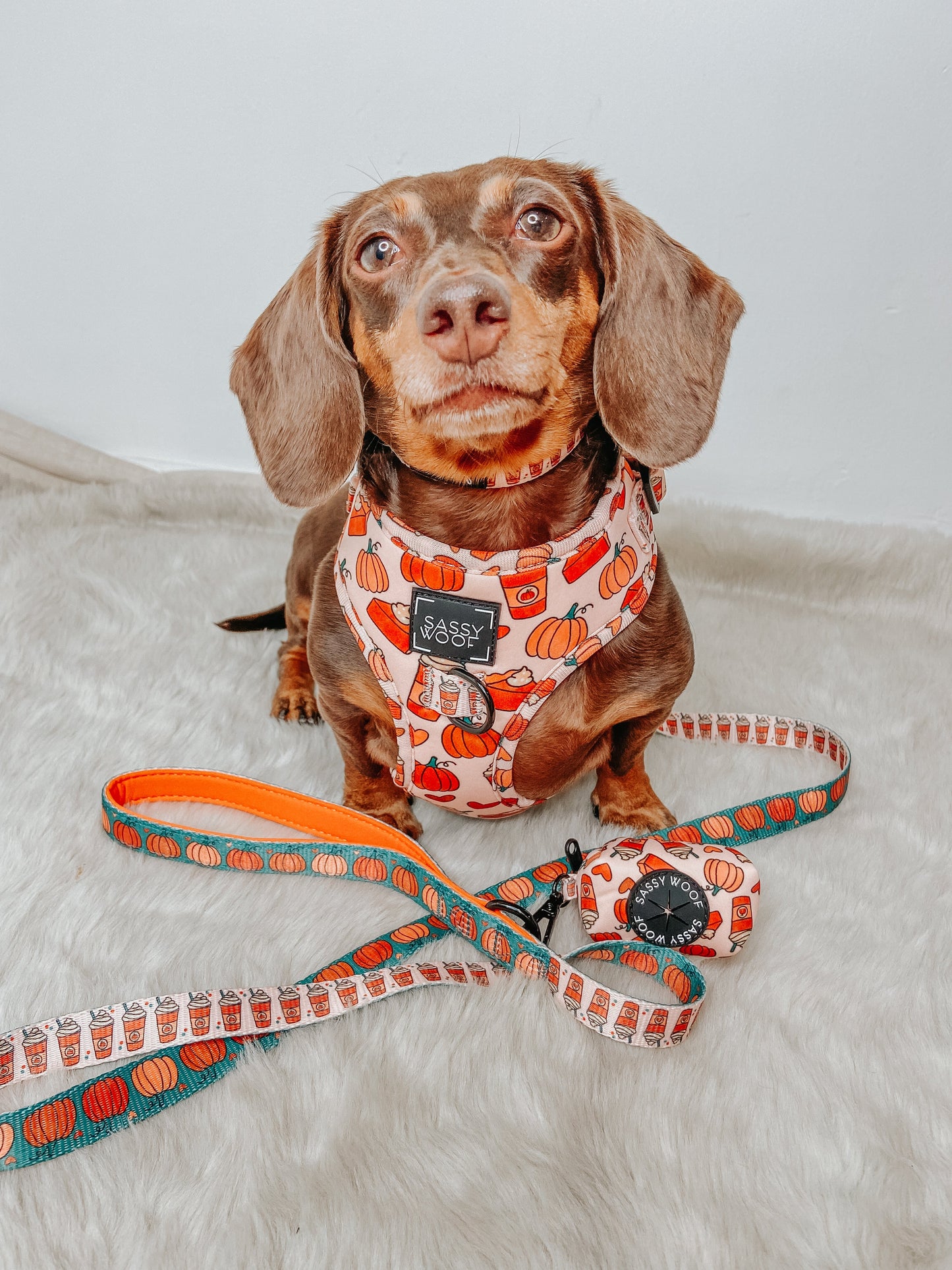 Dog Two Piece Bundle -  Pie There