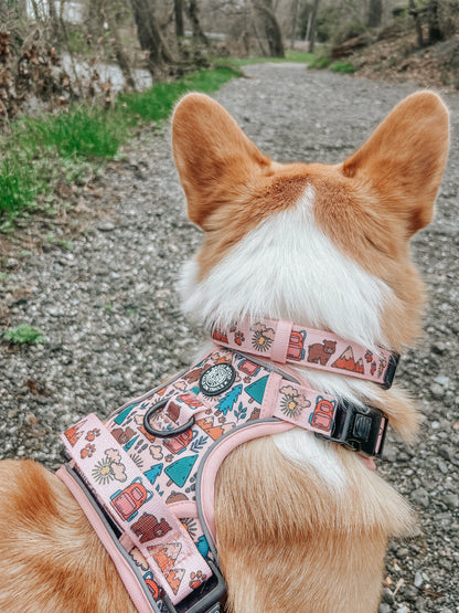 Dog Collar - National Bark