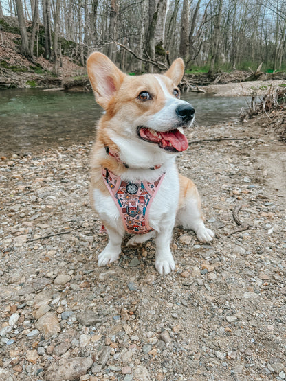 Dog Collar - National Bark