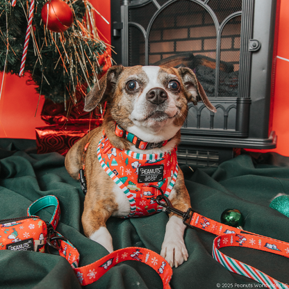 Dog Four Piece Bundle - Peanuts™ Beagle Bells