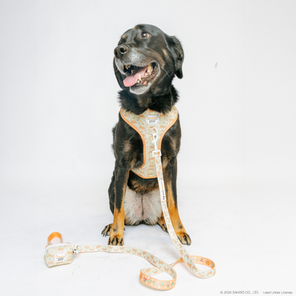 Dog Four Piece Bundle - Pompompurin™