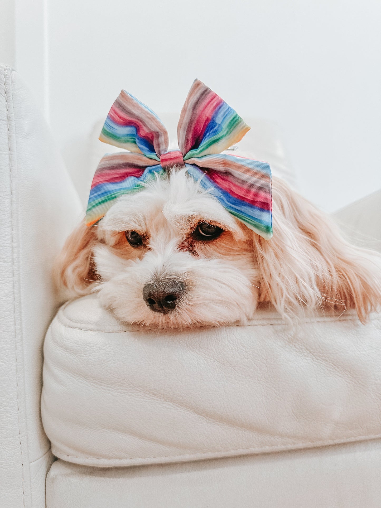 Dog Sailor Bow - Love You Fur You