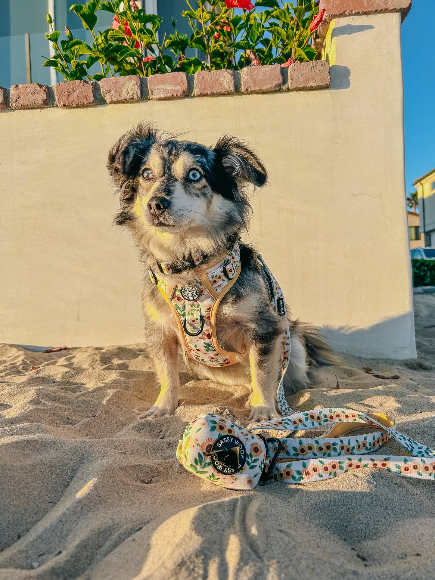 Dog Waste Bag Holder - Sunflower Dreams