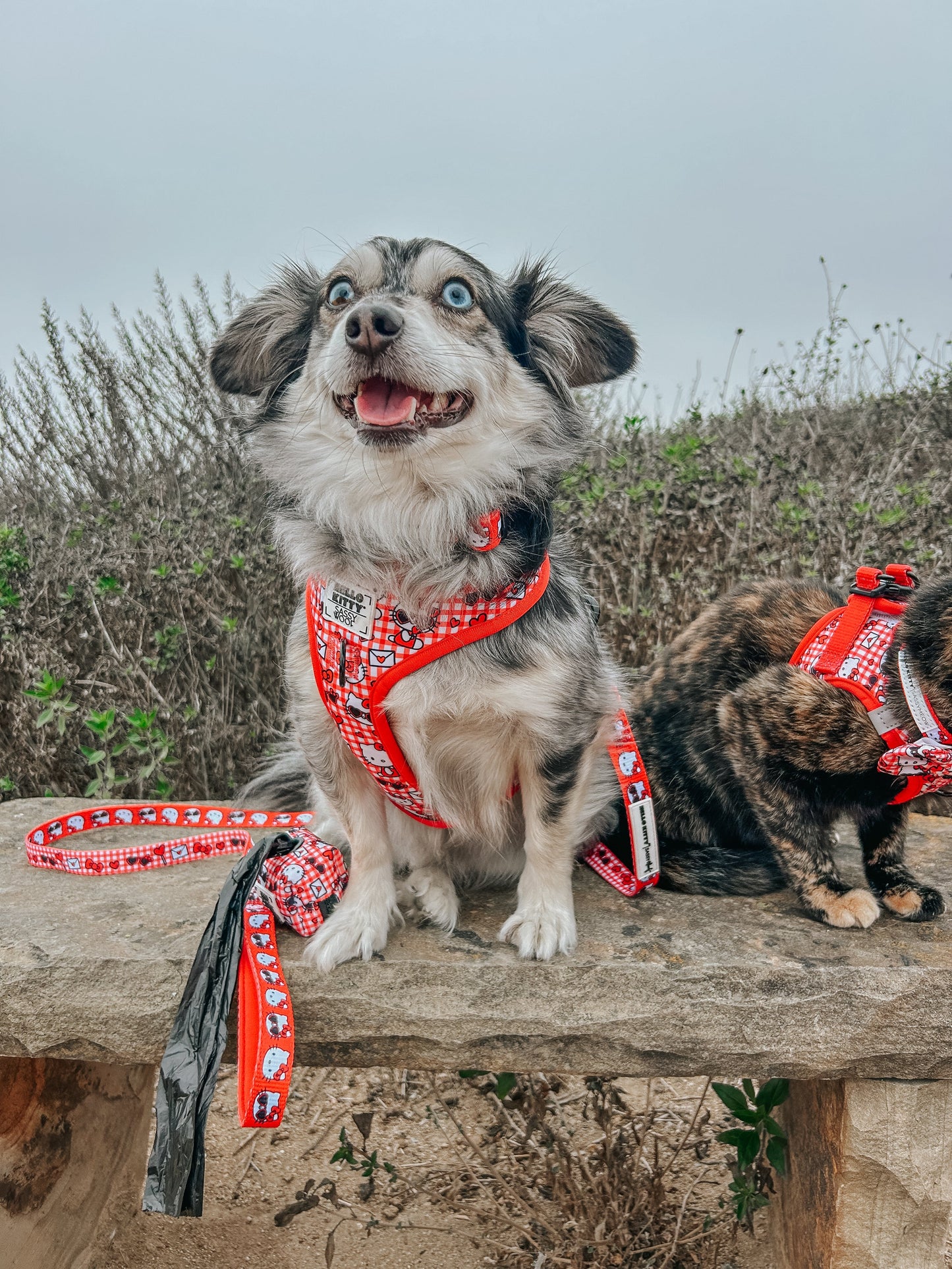 Dog Leash - Hello Kitty® Red Classic