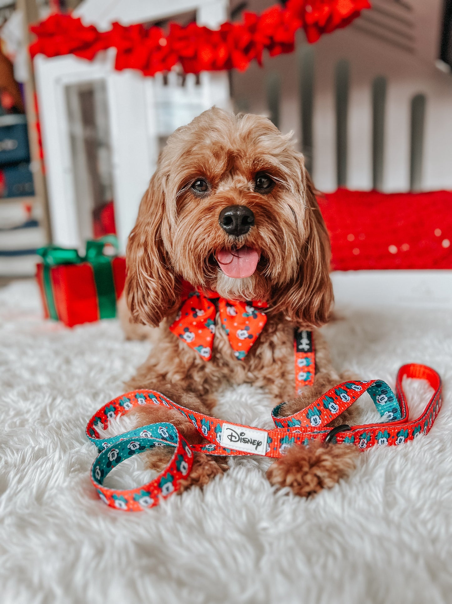 Dog Sailor Bow - Disney Holiday Collection