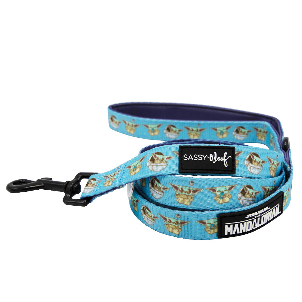 Dog Two Piece Bundle -  STAR WARS™ The Mandalorian™