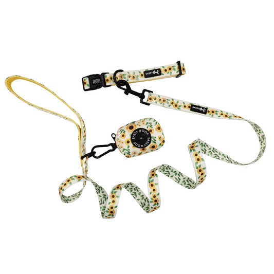 Dog Collar Three Piece Bundle - Sunflower Dreams