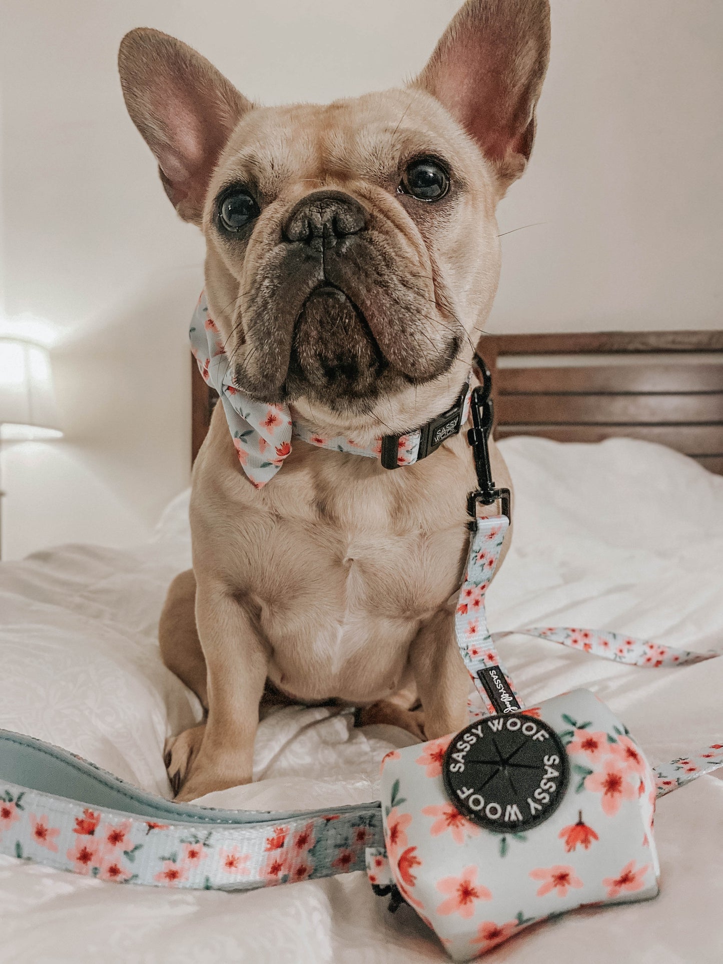 Dog Bowtie - Sakura