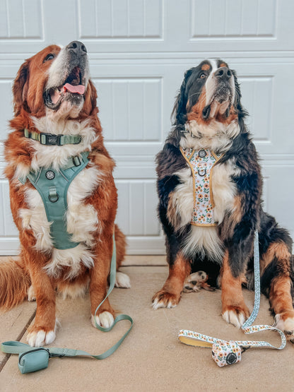 Dog Collar - Sunflower Dreams