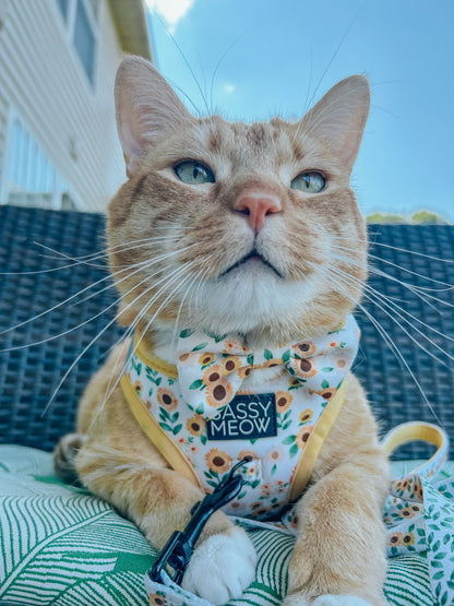 Cat Bowtie - Sunflower Dreams