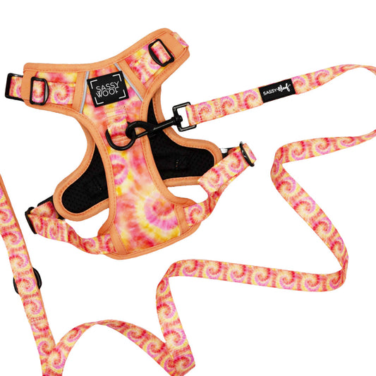 Dog Two Piece Bundle - Summer Sorbet