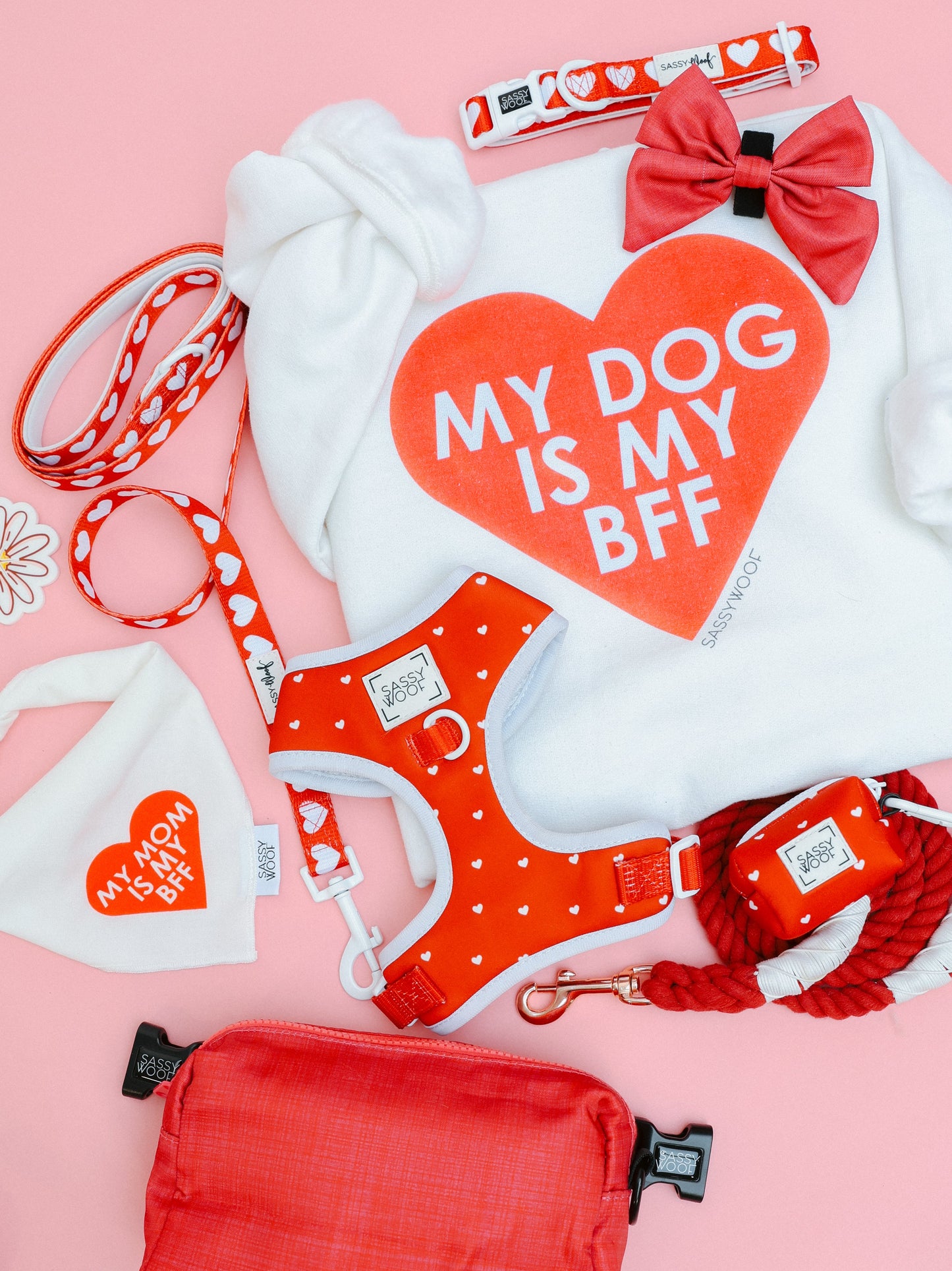 Bundle - BFF Valentine's Sweatshirt & Bandana (RED)