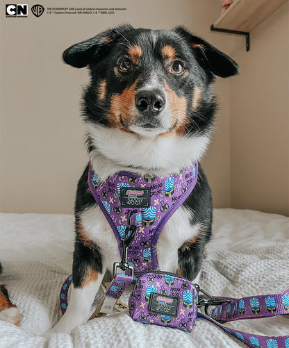 Dog Adjustable Harness - Mojo Jojo™