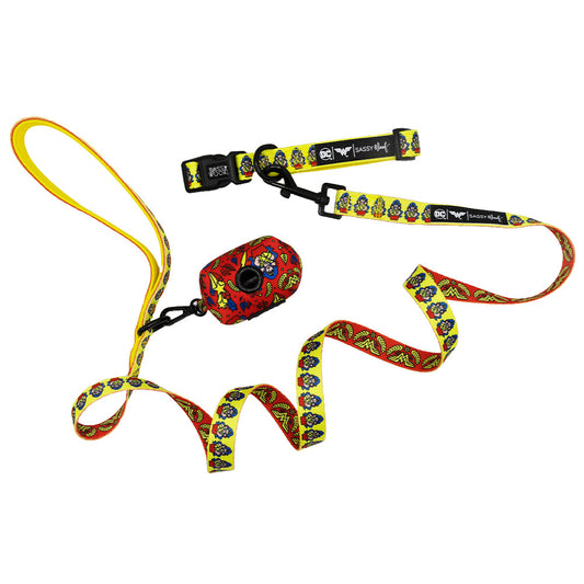 Dog Collar Three Piece Bundle - Wonder Woman™