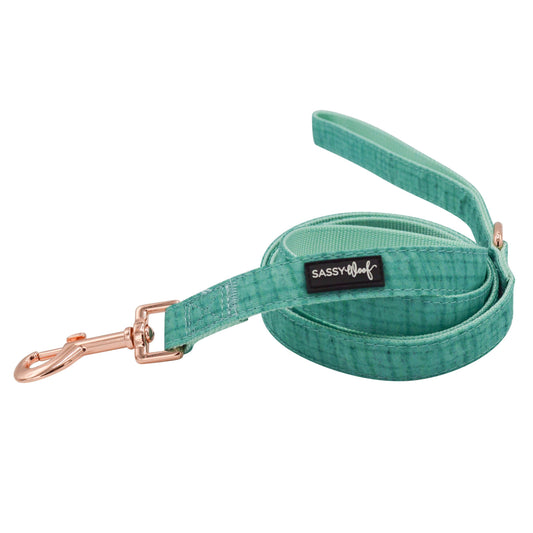 Dog Leash - Wag your Teal