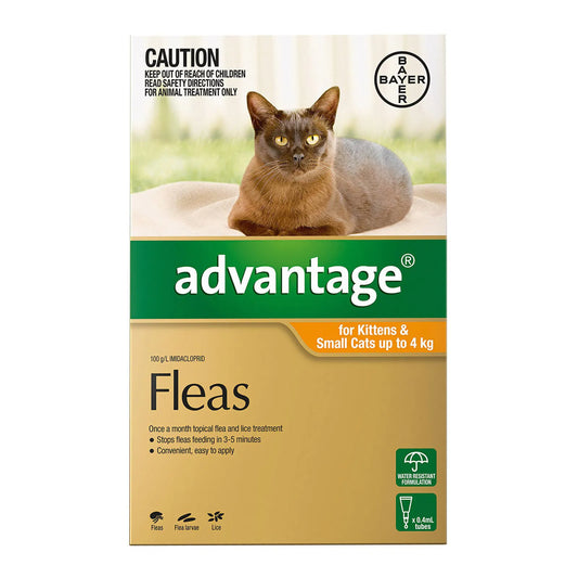 Advantage - For Kittens & Small Cats Up To 4Kg (Orange)