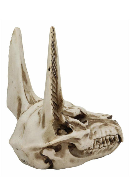 Anubis Skull Scultpure
