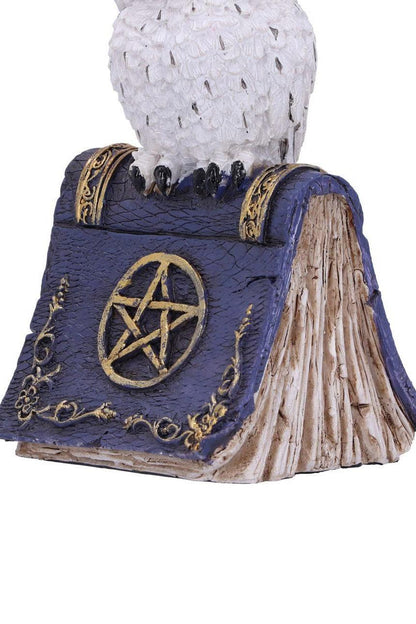 Avian Spell Owl Figurine