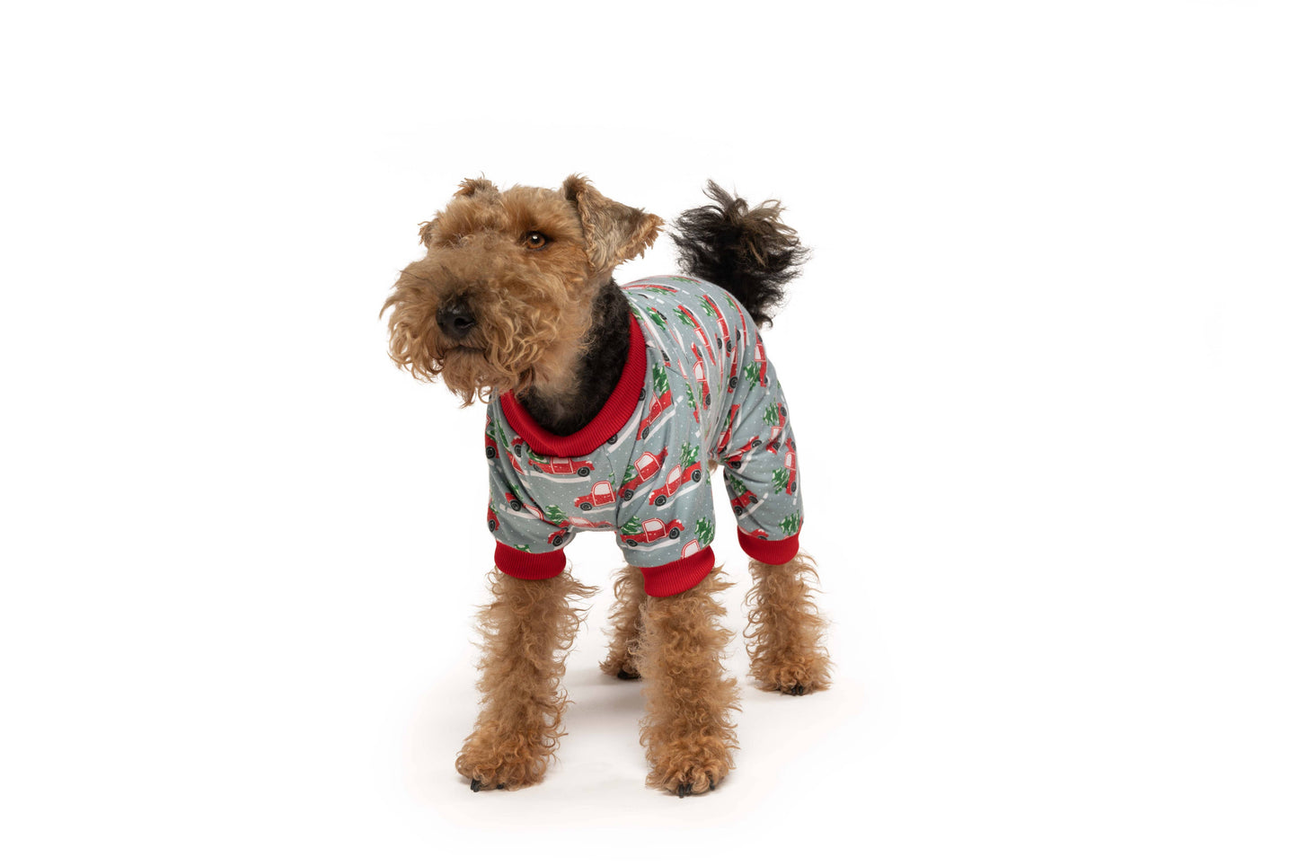 fabdog - X-Mas Truck Christmas Matching Dog Onesie